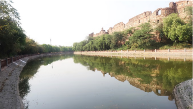 Photo of दिल्ली: अब पुराना किला झील में नौकाविहार का लुत्फ उठा सकेंगे पर्यटक