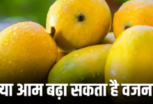 Photo of क्या आम खाने से सचमुच बढ़ता है वजन?