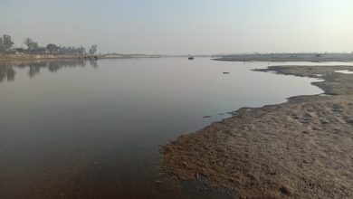 Photo of दिल्ली : नवंबर तक अतिक्रमण मुक्त होगा यमुना नदी का डूब क्षेत्र