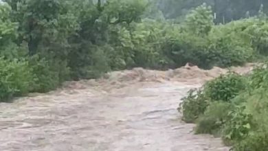 Photo of चमोली, देहरादून सहित कई जिलों में बाढ़ के खतरे का पूर्वानुमान जारी, 24 घंटे के लिए अलर्ट