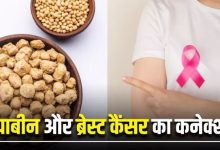 Photo of क्या सोयाबीन खाने से बढ़ता है ब्रेस्ट कैंसर का खतरा?