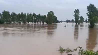 Photo of पंजाब में नया खतरा: दरियाओं ने स्वरूप बदला, बढ़ गया बाढ़ क्षेत्र