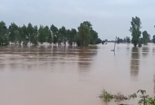 Photo of पंजाब में सतलुज, ब्यास-रावी और घग्गर दरिया समेत सभी नालों की होगी स्टडी