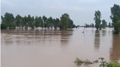 Photo of पंजाब में सतलुज, ब्यास-रावी और घग्गर दरिया समेत सभी नालों की होगी स्टडी