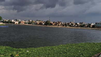 Photo of पांच अक्टूबर तक पूरे बिहार में बारिश-वज्रपात के आसार