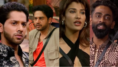 Photo of नेहल के साथ डबल एविक्शन में कटा इस कंटेस्टेंट का पत्ता