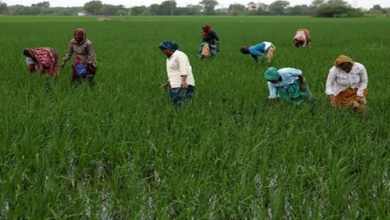 Photo of किसानों के लिए पंजाब सरकार ने जारी किए नए आदेश