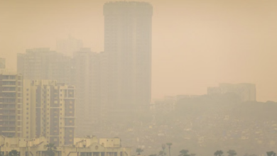 Photo of ओजोन प्रदूषण से दिल्ली-एनसीआर और मुंबई सर्वाधिक प्रभावित