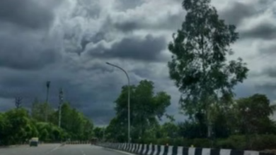 Photo of मध्य प्रदेश में ठंड ने दी दस्तक, पारा 13.5 डिग्री तक गिरा