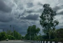 Photo of मध्य प्रदेश में उत्तरी हवाओं का असर, तापमान में आई गिरावट