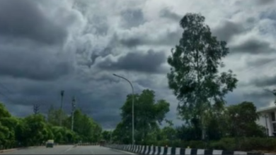 Photo of मध्य प्रदेश में उत्तरी हवाओं का असर, तापमान में आई गिरावट