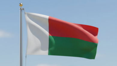 Photo of नेपाल के बाद अफ्रीका में जेन-जेड आंदोलन की लहर