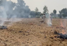 Photo of पंजाब: सैटेलाइन से निगरानी में पकड़े जा रहे पराली जलाने के मामले, मेल नहीं खा रहे पीपीसीबी के आंकड़े