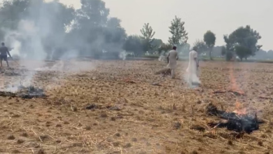 Photo of पंजाब: सैटेलाइन से निगरानी में पकड़े जा रहे पराली जलाने के मामले, मेल नहीं खा रहे पीपीसीबी के आंकड़े