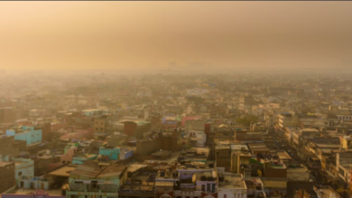 Photo of घुट रहा पंजाब का दम: छह शहरों का एक्यूआई खराब श्रेणी में