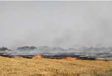 Photo of दमघोंटू हो रही पंजाब की हवा: पहली बार 122 जगह जली पराली