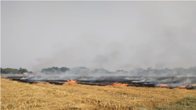 Photo of दमघोंटू हो रही पंजाब की हवा: पहली बार 122 जगह जली पराली