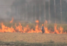 Photo of हवा में जहर: पंजाब में पराली जलाने का रिकॉर्ड टूटा, एक दिन में 283 मामले