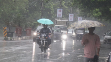 Photo of एमपी में स्ट्रॉन्ग सिस्टम सक्रिय, आज 12 जिलों में बारिश का अलर्ट