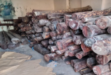 Photo of दिल्ली से चीन भेजी जा रही लाल चंदन की 10 टन लकड़ियों पकड़ीं