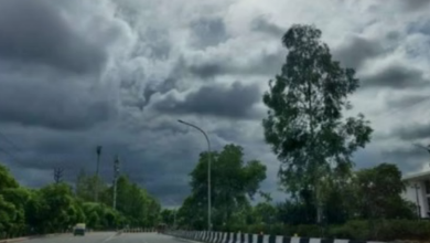 Photo of मध्य प्रदेश में दिन में तेज धूप, रात में हल्की ठंडक शुरू