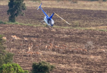 Photo of मध्यप्रदेश में चला देश का पहला हाई-टेक वन्यजीव कैप्चर अभियान
