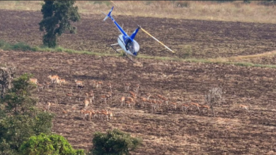 Photo of मध्यप्रदेश में चला देश का पहला हाई-टेक वन्यजीव कैप्चर अभियान