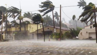 Photo of फिलीपींस में फंग-वोंग तूफान, 50 हजार परिवार सुरक्षित जगह भेजे गए
