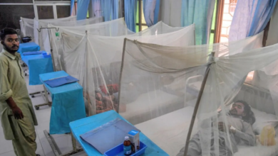 Photo of पाकिस्तान में डेंगू का प्रकोप, नवंबर में मिले 6000 से अधिक मरीज