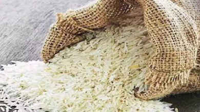 Photo of भारत ने चावल निर्यात कर महंगाई पर लगा दी लगाम, 39% तक हुआ सस्ता