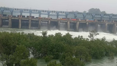 Photo of पंजाब के बांध कितने सुरक्षित: चेक करेगी पंजाब सरकार