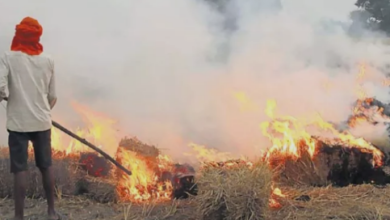 Photo of यूपी के इस जिले में सेटेलाइट से पकड़ में आए पराली जलाने वाले