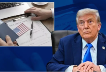 Photo of ‘H-1B वीजा पर लगा बैन तो अमेरिका को होगा भारी नुकसान’, ट्रंप के दांव पर बोले एक्सपर्ट