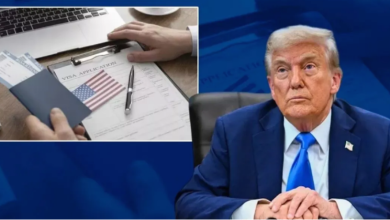 Photo of ‘H-1B वीजा पर लगा बैन तो अमेरिका को होगा भारी नुकसान’, ट्रंप के दांव पर बोले एक्सपर्ट