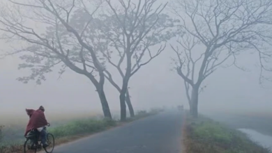 Photo of मध्य प्रदेश में ठंड ने तोड़ा 84 साल का रिकॉर्ड, शीतलहर का अलर्ट जारी