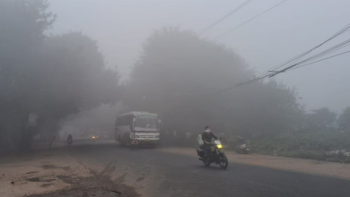 Photo of पंजाब में हल्का कोहरा: अमृतसर में दृश्यता 800 मीटर पहुंची