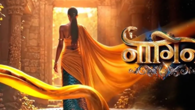 Photo of एकता कपूर के शो में नागिन बनेगी ये हसीना, अन्य स्टार कास्ट का खुला राज