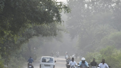 Photo of मध्यप्रदेश में दो दिन बाद फिर कड़ाके ठंड