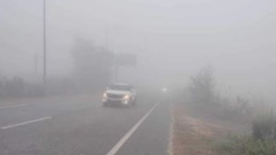Photo of एमपी में ठंड का यू-टर्न, 12 शहरों का पारा 10 डिग्री से नीचे