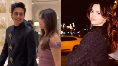 Photo of डेटिंग की खबरों के बीच अनीत पड्डा ने की अहान पांडे की तारीफ