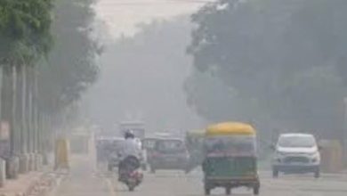 Photo of मध्य प्रदेश में कोहरे का कहर, ठंड ने तोड़े रिकॉर्ड