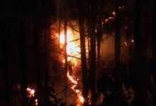 Photo of उत्तराखंड हाईकोर्ट ने जंगल की आग पर विशेषज्ञों से मांगा मार्गदर्शन