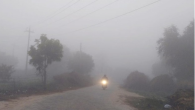 Photo of पंजाब में कल से घने कोहरे का अलर्ट: नाै जिलों में दृश्यता होगी प्रभावित