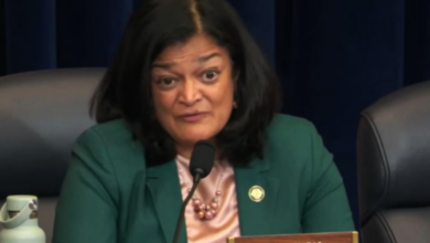 Photo of टैरिफ को लेकर अमेरिकी प्रतिनिधि प्रमिला जयपाल ने किया आगाह