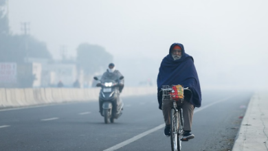 Photo of पंजाब में घना कोहरा: पारे में 1.2 डिग्री की गिरावट