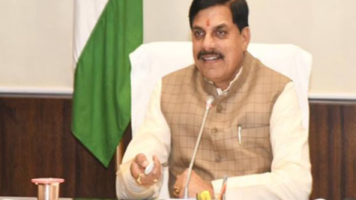 Photo of मुख्यमंत्री डॉ. मोहन यादव आज करेंगे 11वें अंतरराष्ट्रीय हर्बल वन मेले का शुभारंभ