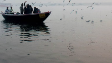 Photo of पूरा प्रदेश में ठंड और कोहरे की चपेट में, इन 20 जिलों के लिए जारी हुआ रेड अलर्ट