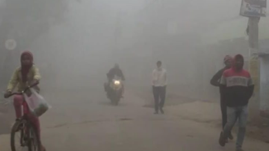 Photo of  बिहार के इन 33 जिलों घने कोहरे का अलर्ट, पछुआ हवा ने बढ़ाई ठिठुरन