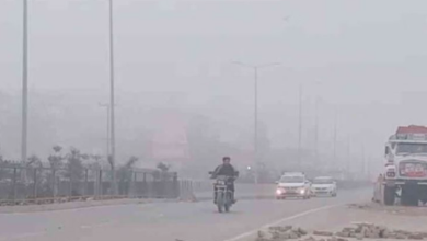 Photo of दून समेत छह जिलों में कोहरे का यलो अलर्ट