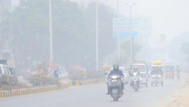 Photo of पंजाब में घने कोहरे का ऑरेंज अलर्ट: रात का पारा 1.5 डिग्री गिरा, गुरदासपुर रहा सबसे ठंडा